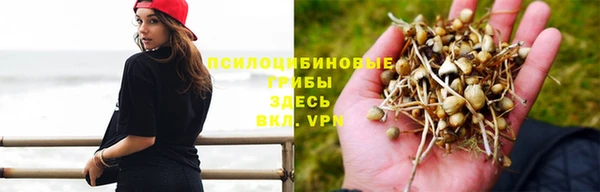 винт Кулебаки